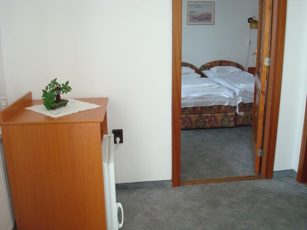 Hotel Termal Tiszaujvaros Room photo